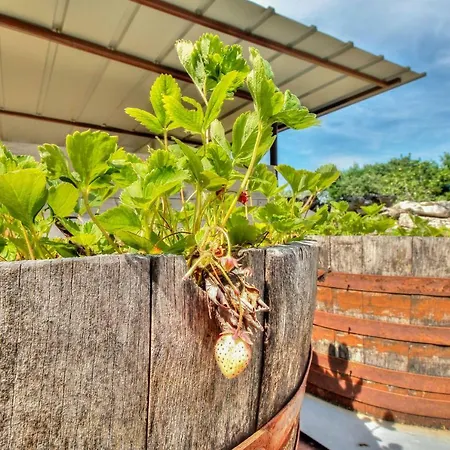 Дом отдыха Alba